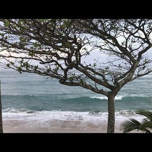 Meet your Posher, Kimberley